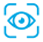 icon1